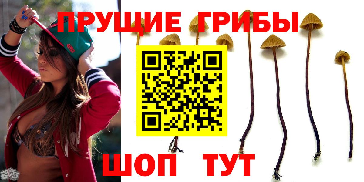 Галлюциногенные грибы MAGIC MUSHROOMS  Галлюциногенные грибы Magic Shrooms  Вход с VPN  Шуя 